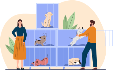 pet-care-3